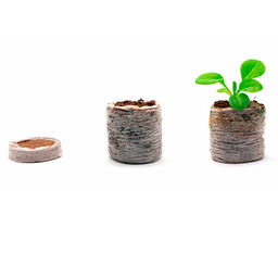 10шт. Таблетка торфяная d36мм с оболочкой - Спарк фото 2