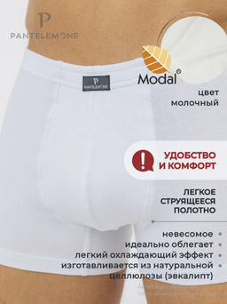 Трусы-шорты мужские МОДАЛ PMH-638 - Pantelemone фото 3