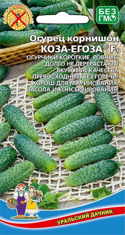 Огурец КОЗА-ЕГОЗА F1 Огурчики короткие, ровные, долго не перерастают! Вкусовые качества превосходные! Без горечи! Хорош для маринования и консервирования!