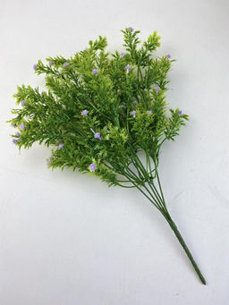 Гипсофила фиолетовая 35 см, декоративное растение