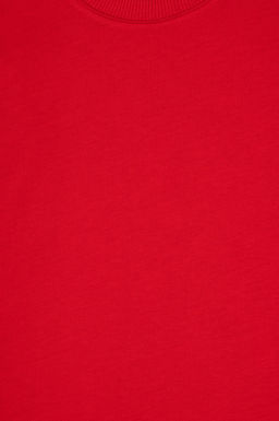 Erkek _ocuk K_rm_z_ Basic Bisiklet Yaka Sweatshirt Sepette S_rpriz _ndirim - U.s. polo assn фото 4