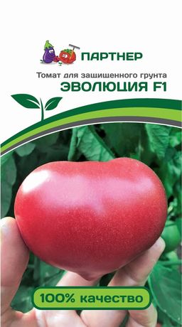 Томат Эволюция
