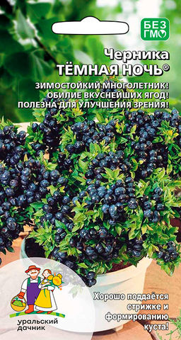 Черника ТЁМНАЯ НОЧЬ® Зимостойкий многолетник! Обилие вкуснейших ягод! Полезна для улучшения зрения!