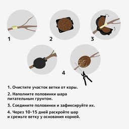 Цена за 2 шт. Шар для укоренения растений, d = 8 см, под ветку 1 см, чёрный , Greengo  фото 3