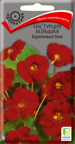 Настурция большая Коричневый блик (ЦВ) (1) 1гр. - Поиск фото 2