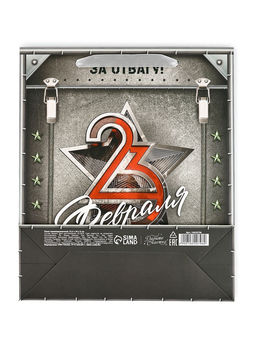 Цена за 2 шт. Пакет подарочный ламинированный «23 февраля», M 25.5×30×9 см