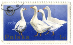 Марка 20-й Конгресс Европейской зоотехническойфедерации в Варшаве(гуси) 1975 год Польша