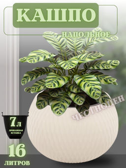 3ac90bc07293146c955072a8b968f86d18bq41ua8ymcw72xze