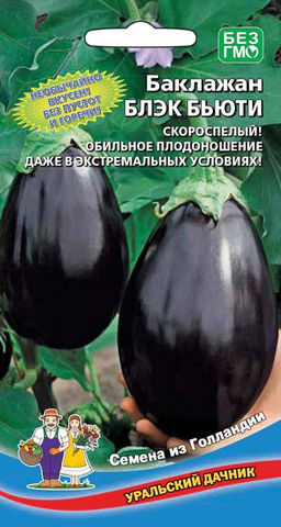 Баклажан БЛЕК БЬЮТИ  Обильное плодоношение даже в экстремальных условиях!