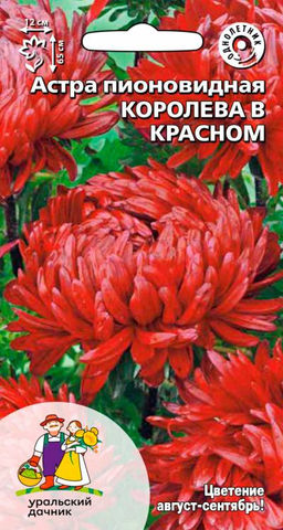Астра КОРОЛЕВА В КРАСНОМ