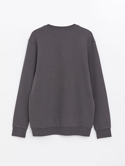 Bisiklet Yaka Uzun Kollu Erkek Sweatshirt - Waikiki фото 2