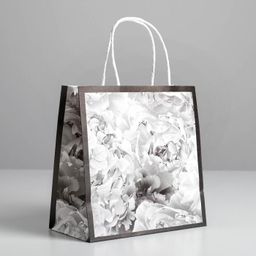 Пакет подарочный крафтовый, упаковка, «Dreams», 22 х 22 х 11 см