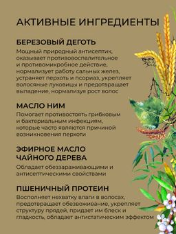 Шампунь дегтярный Против перхоти с бактерицидным и противомикробным действием SIBERINA