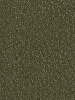 Кошелек Labbra L105-607 moss  фото 4
