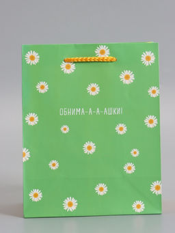 Пакет подарочный ламинированный «Ромашки - обнимашки», 18×22.3×10 см