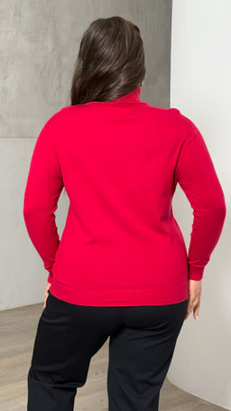 Водолазка-1165