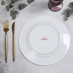Тарелка фарфоровая обеденная GOURMET, d=26,3 см, цвет белый