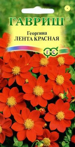 Лента красная георгина 0,2гр (г)