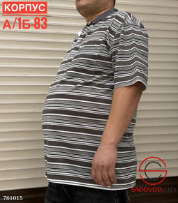 Мужская футболка в полоску