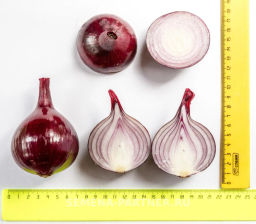 Лук репчатый Ред Барон - Партнер фото 4