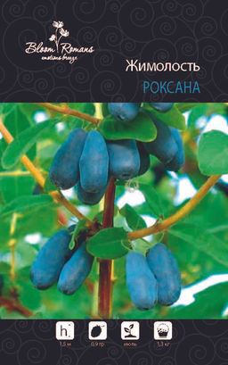 Жимолость Роксана