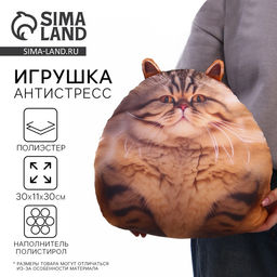 Игрушка антистресс Кот