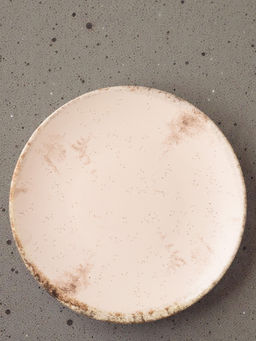 ТАРЕЛКА ДЕСЕРТНАЯ TERRA 20,5СМ БЕЗ УПАК. - Bronco фото 3