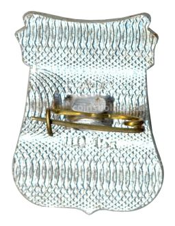 Значок Алма-Ата