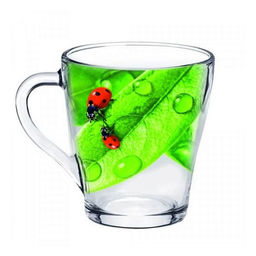 Кружка 250мл "Живая природа" в ассортименте арт. 1649-Д