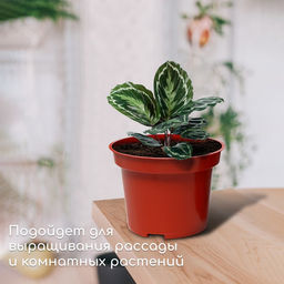 Цена за 5 шт. Горшок для рассады, 2 л, d=17 см, h=13 см, терракот, Greengo