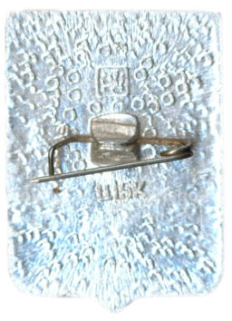 Значок Гвоздевка