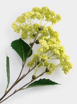 Ветка декоративная, 70 см, полиэтилен/металл, Зеленый цветок, Interior spring