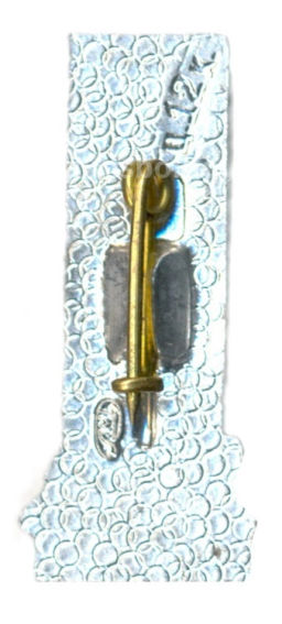 Значок Павловск