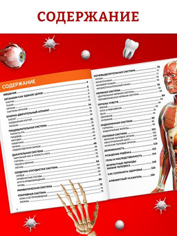 Энциклопедия в твёрдом переплёте "Строение тела человека", 128 страниц.