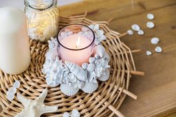 Blumentag / Zlatka DRF-017 Ракушки морские 3 шт. 6.3 см Strombus Canarium  фото 4