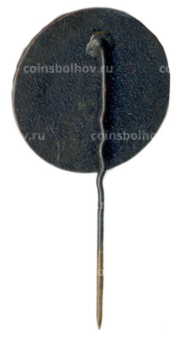 Значок Рига