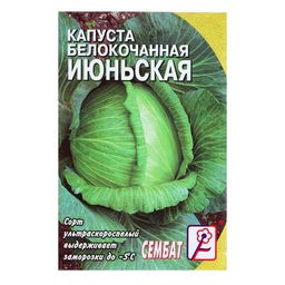 Цена за 5 шт. Семена Капуста белокачанная "Июньская", 0,5 г