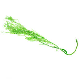 Сухие цветы амаранта, 100 г, размер листа: от 50 до 60 см, цвет зелёный - Simaland фото 2