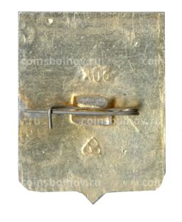 Значок Муром