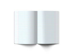 Светоч 48ТПСК5_013_2_1 Тетрадь со справочным материалом И всё-таки она вертится!, A5 48 л. на скобе 65 г/кв.м , белизна 100 % 10 шт. , клетка 000530 Физика  фото 8