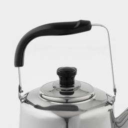 Чайник Чайковский, 3 л, нержавеющая сталь, хромированный - Simaland фото 5