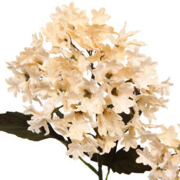 Искусственные цветы "FLOWERS MAGIC" 65см Гортензии 2 цветка кремовые