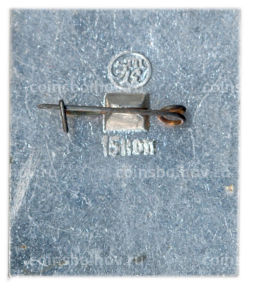 Значок Псков