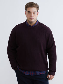 Bisiklet Yaka Erkek Triko Kazak