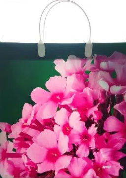 9652 Сумка пластик. BAM 183 (30*30см) средняя *20