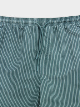 Плавательные шорты мужские в полоску