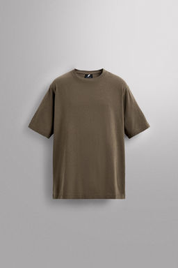 CAMISETA REGULAR FIT GR?FICO ESTAMPADO / Marr?n / Topo