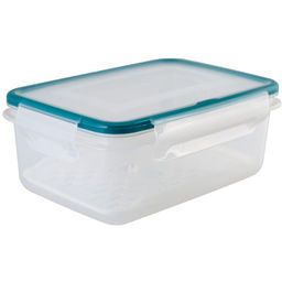 Контейнер с сеткой ЭКСТРА ЛОК S 0,75 л "BRIGHT/LIGHT/KEEP FRESH", арт. С66808, С66818, С66811