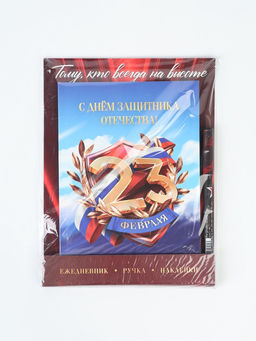 Подарочный набор, ежедневник А5, 80 л., наклейки, ручка Тому кто всегда на высоте