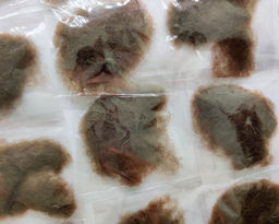 Сеточка-паутинка для волос (12шт) - Vel vett фото 2